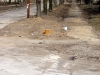 img_0049 img_0049