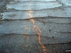 gromko_22 gromko_22