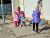 vistavka-sobak-7 vistavka-sobak-7